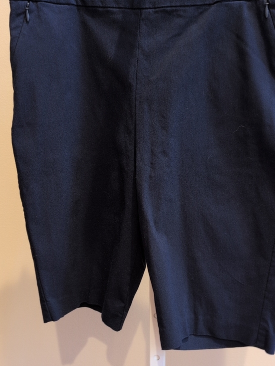 Chico's Pants - Men's Navy Stretch Performance Shorts